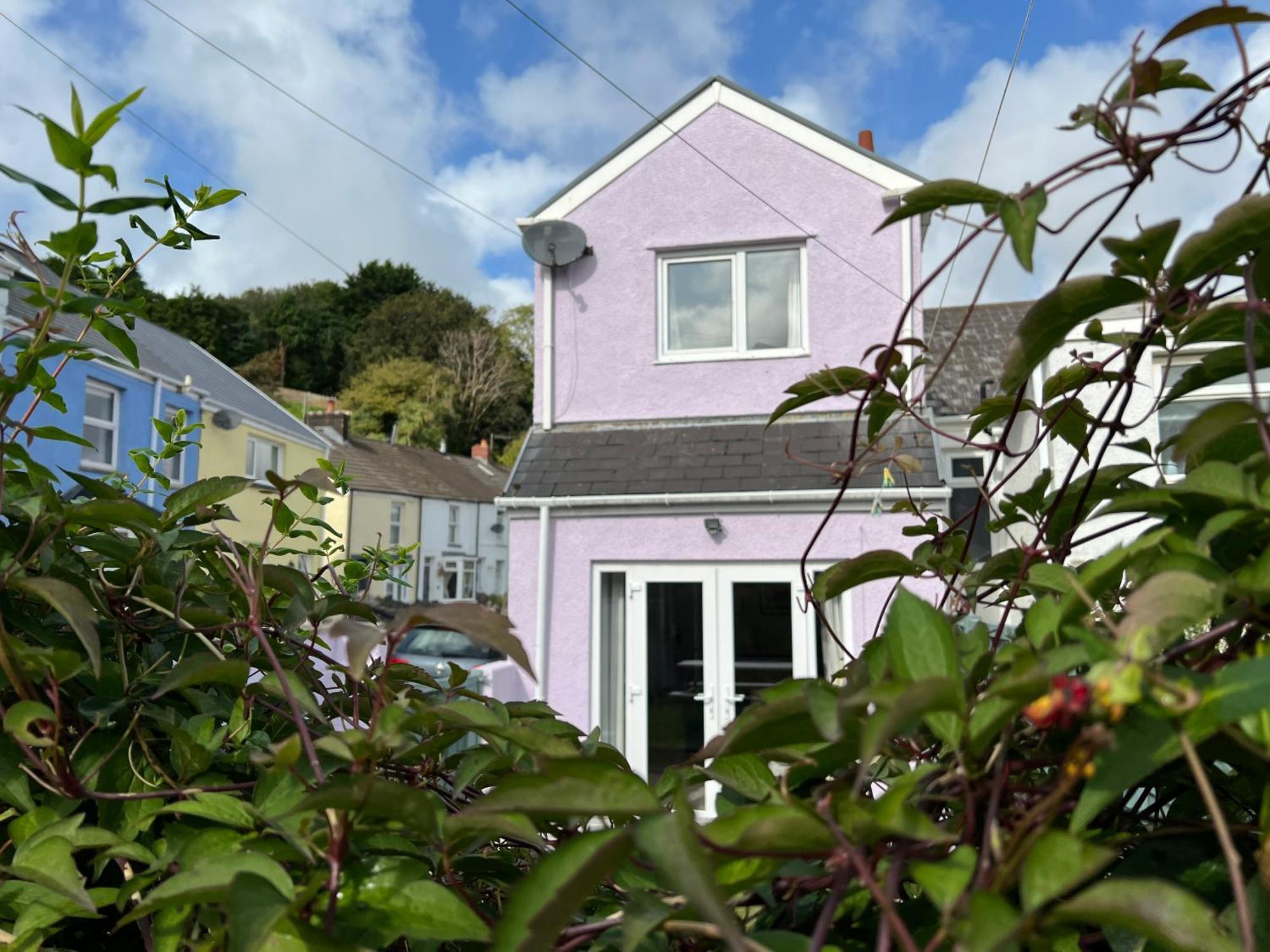 Bluebell Cottage Mumbles - Sea Views Екстер'єр фото